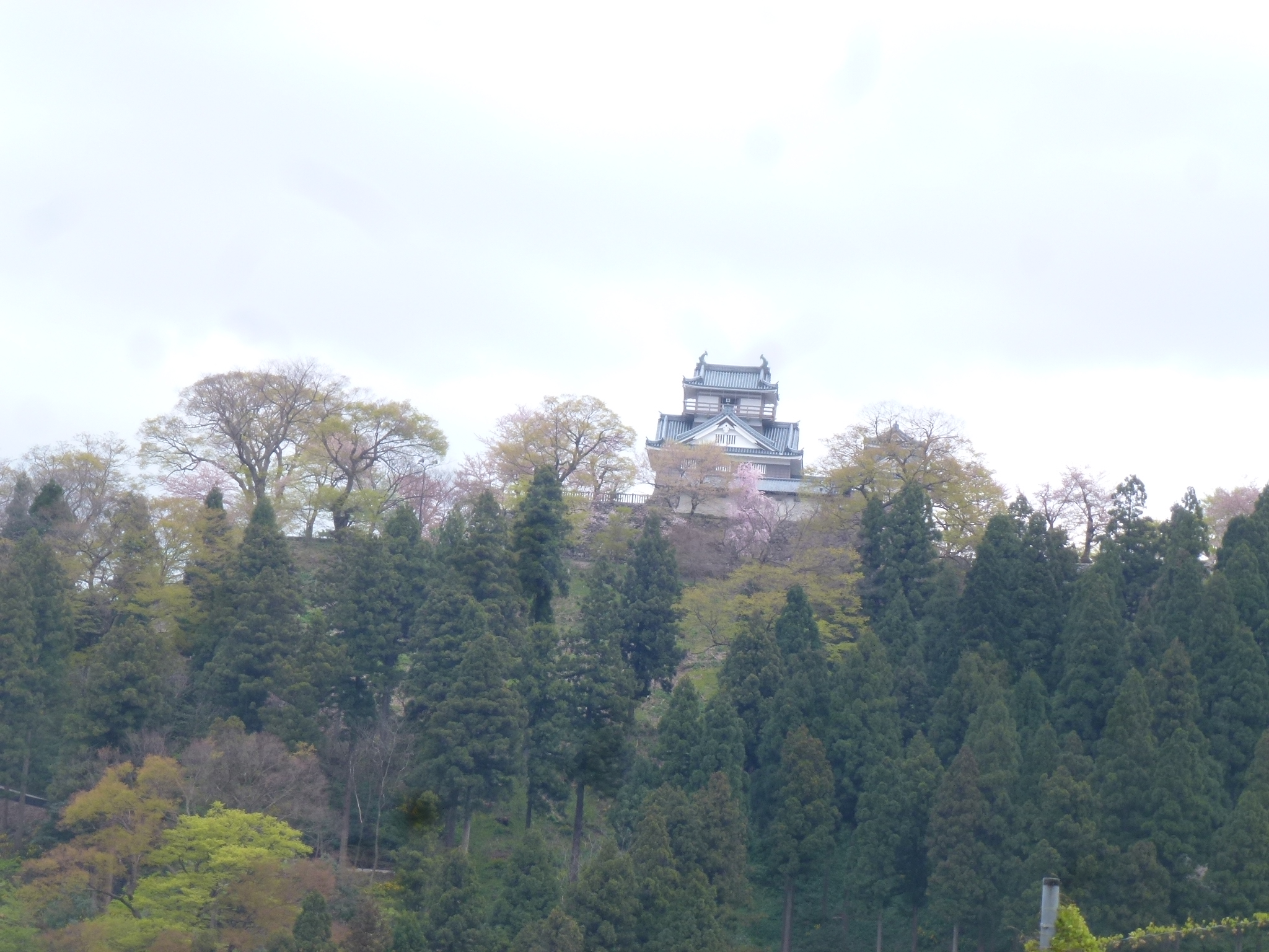 P1160291.JPG