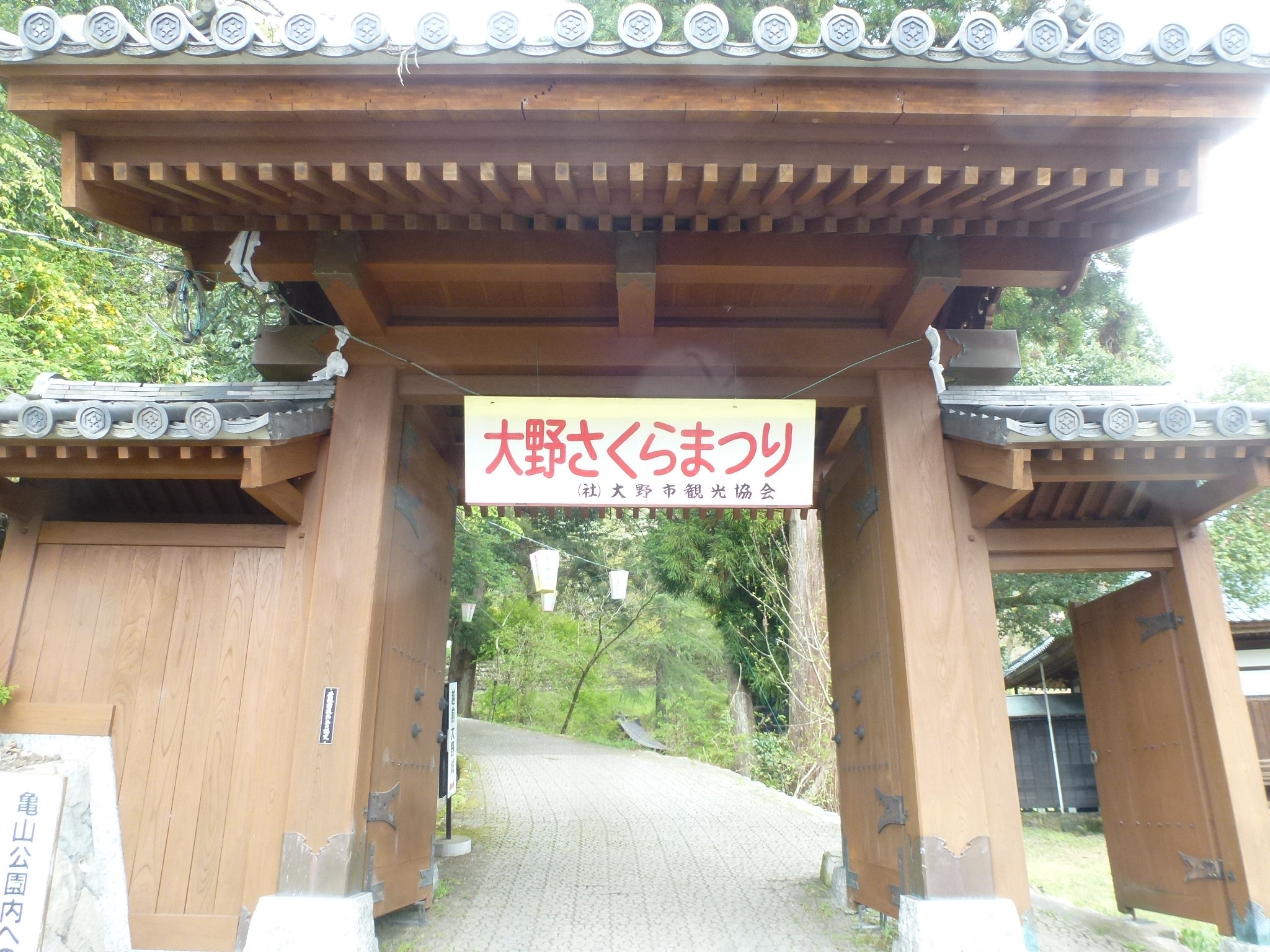 P1160295.JPG