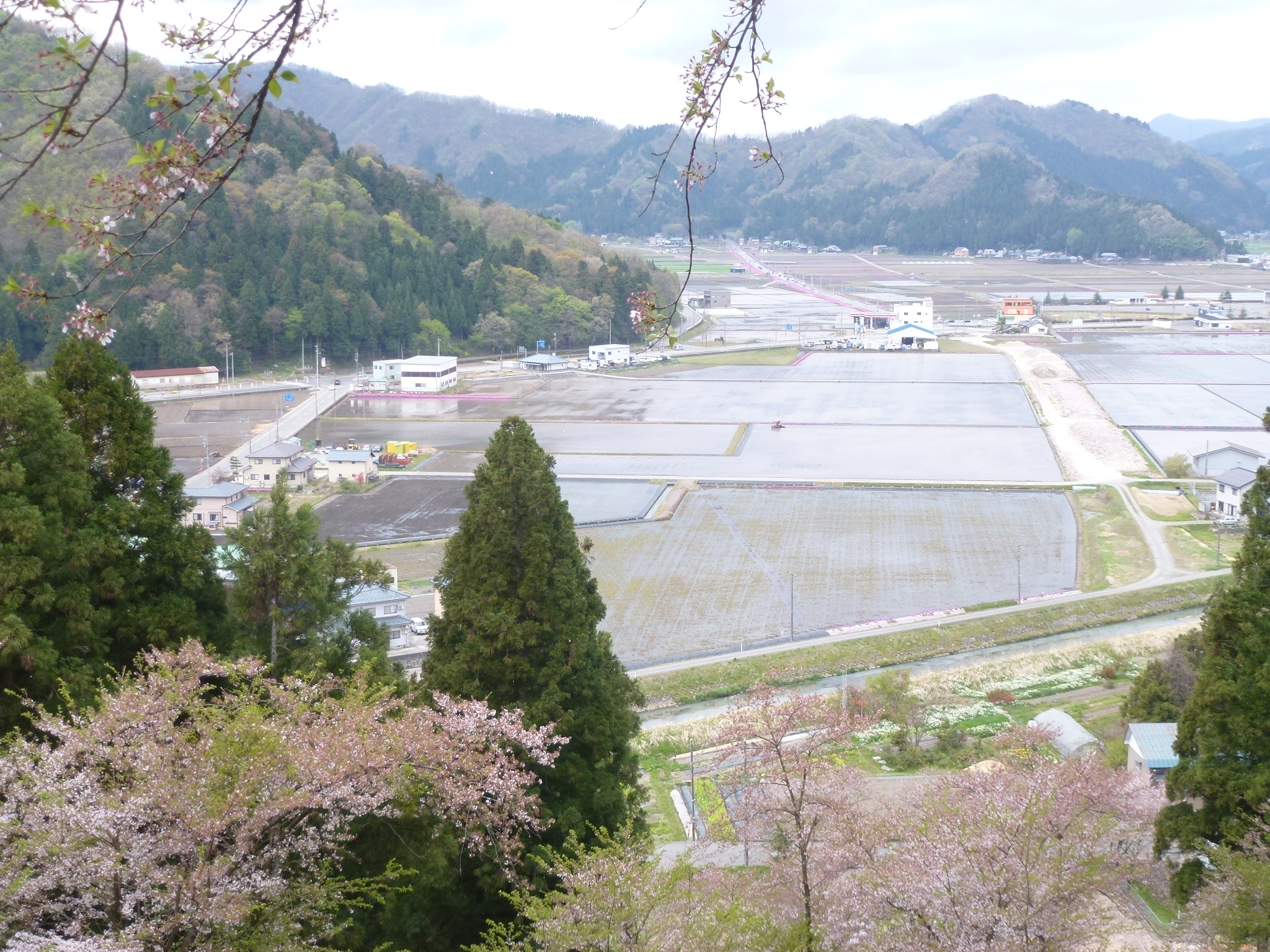 P1160296.JPG