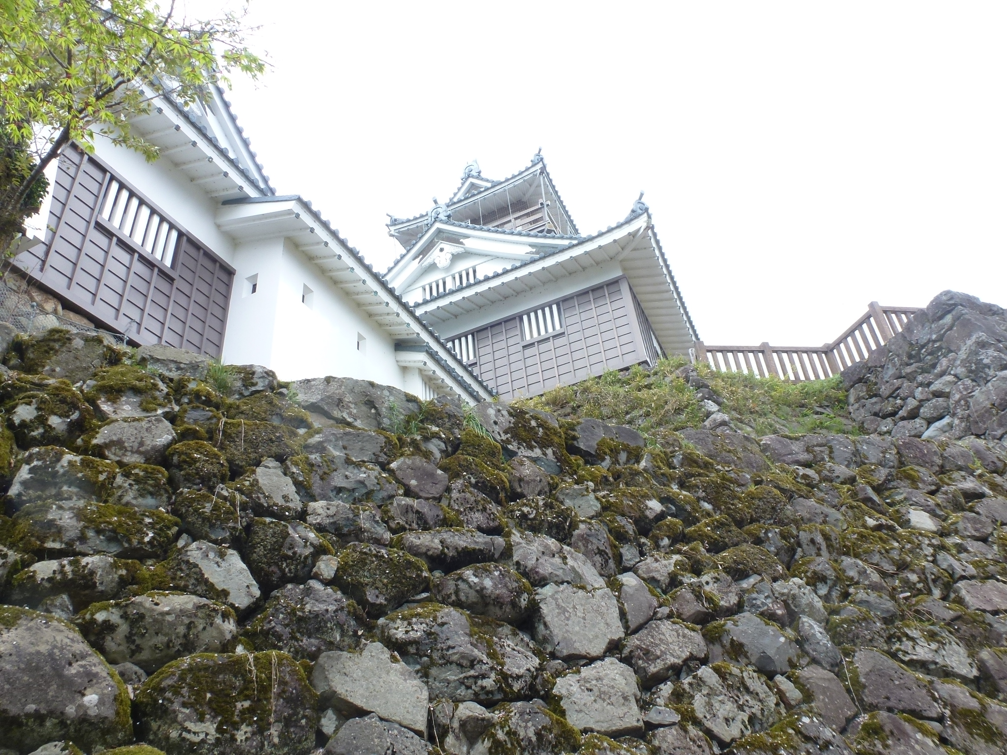 P1160300.JPG