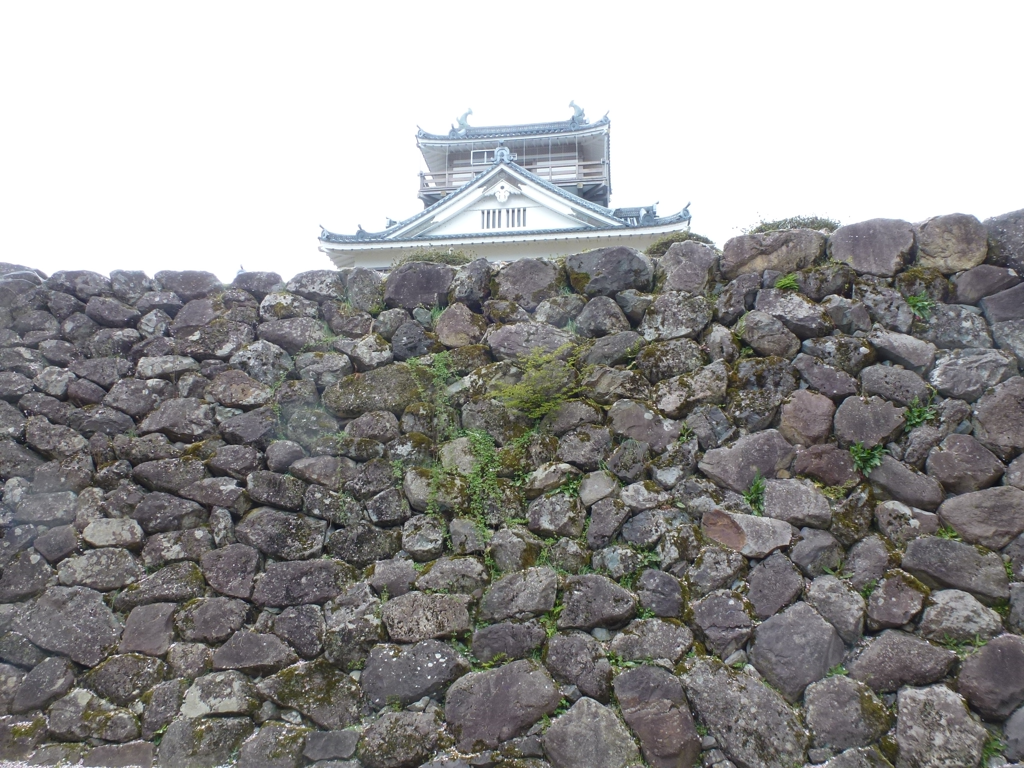 P1160301.JPG