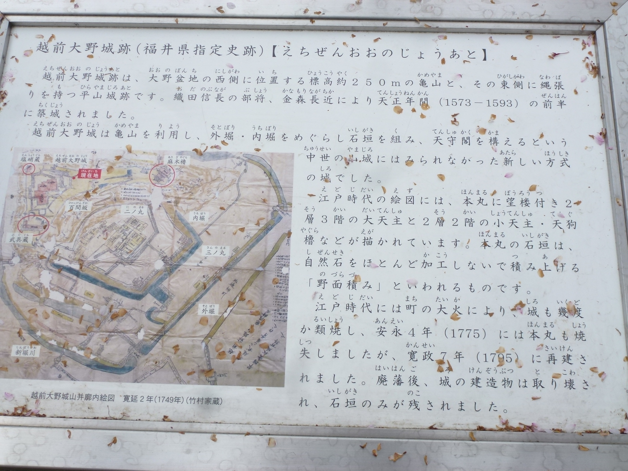P1160302.JPG