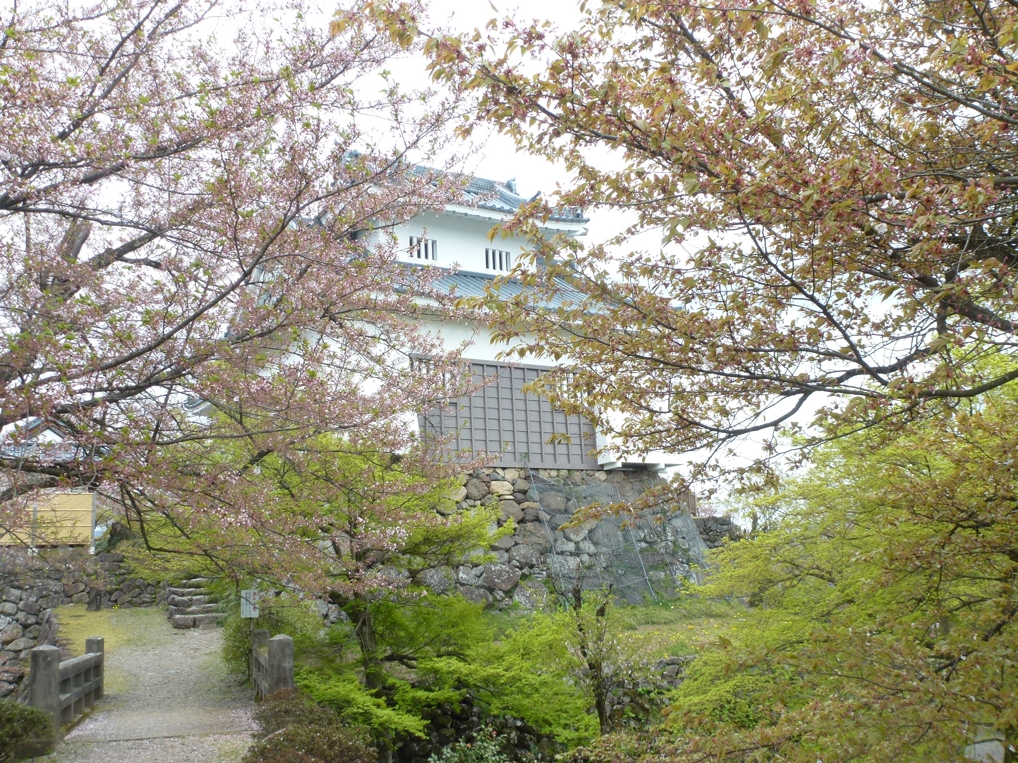 P1160304.JPG