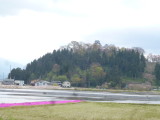 img0002.jpg