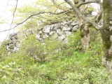 img0008.jpg