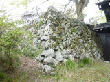 img0009.jpg
