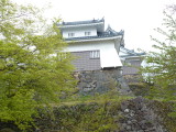 img0010.jpg