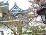 img0016.jpg