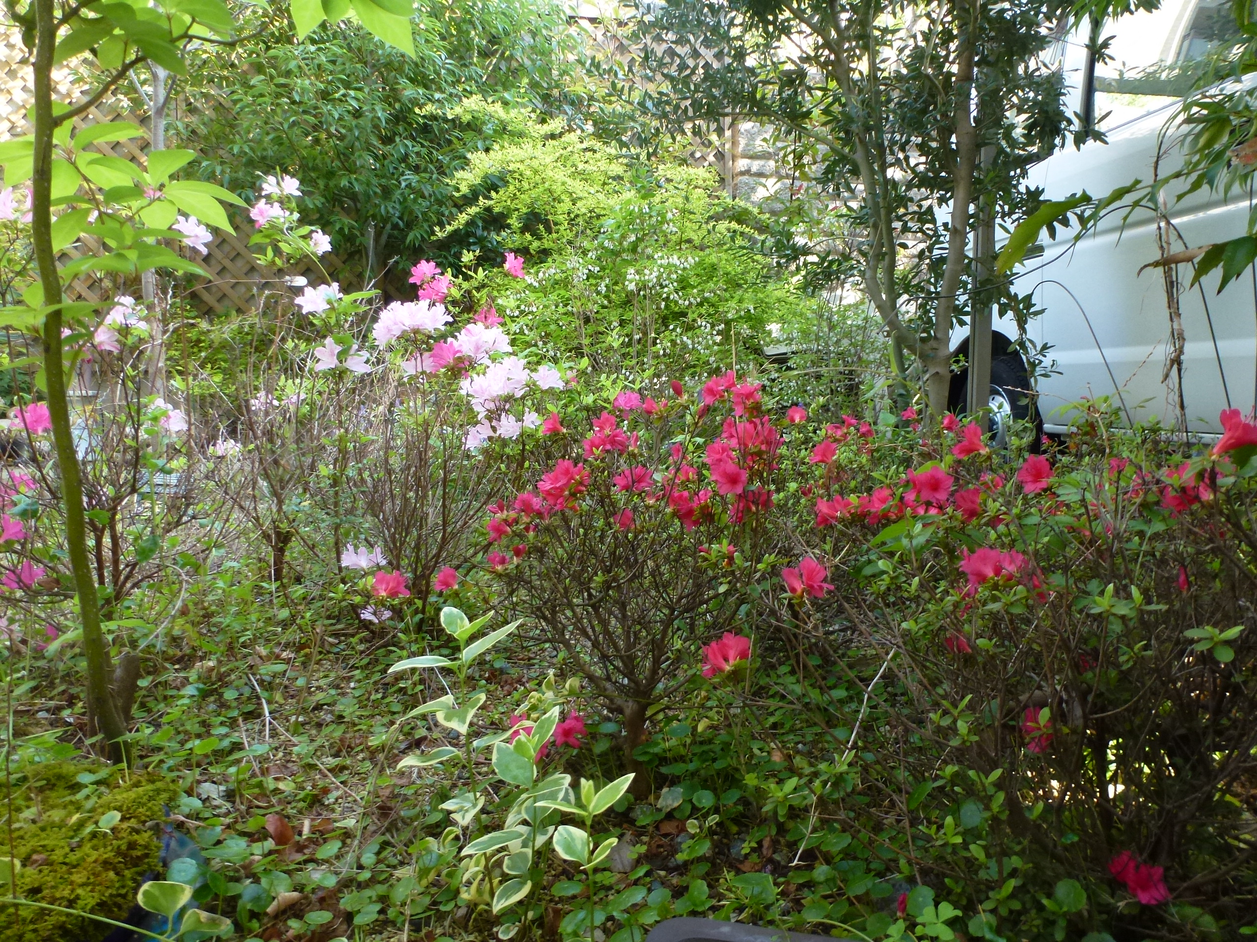 P1160330.JPG