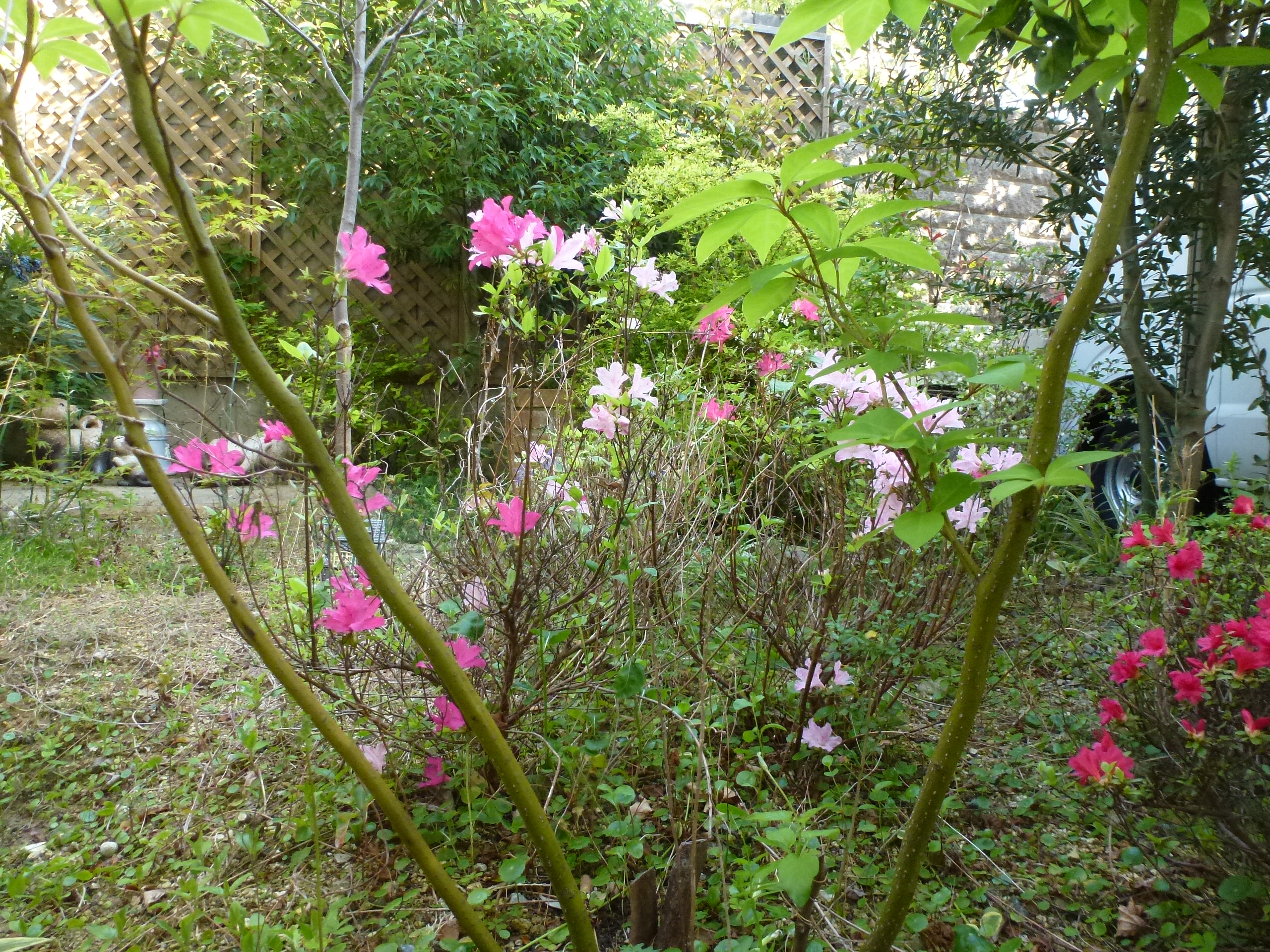 P1160331.JPG