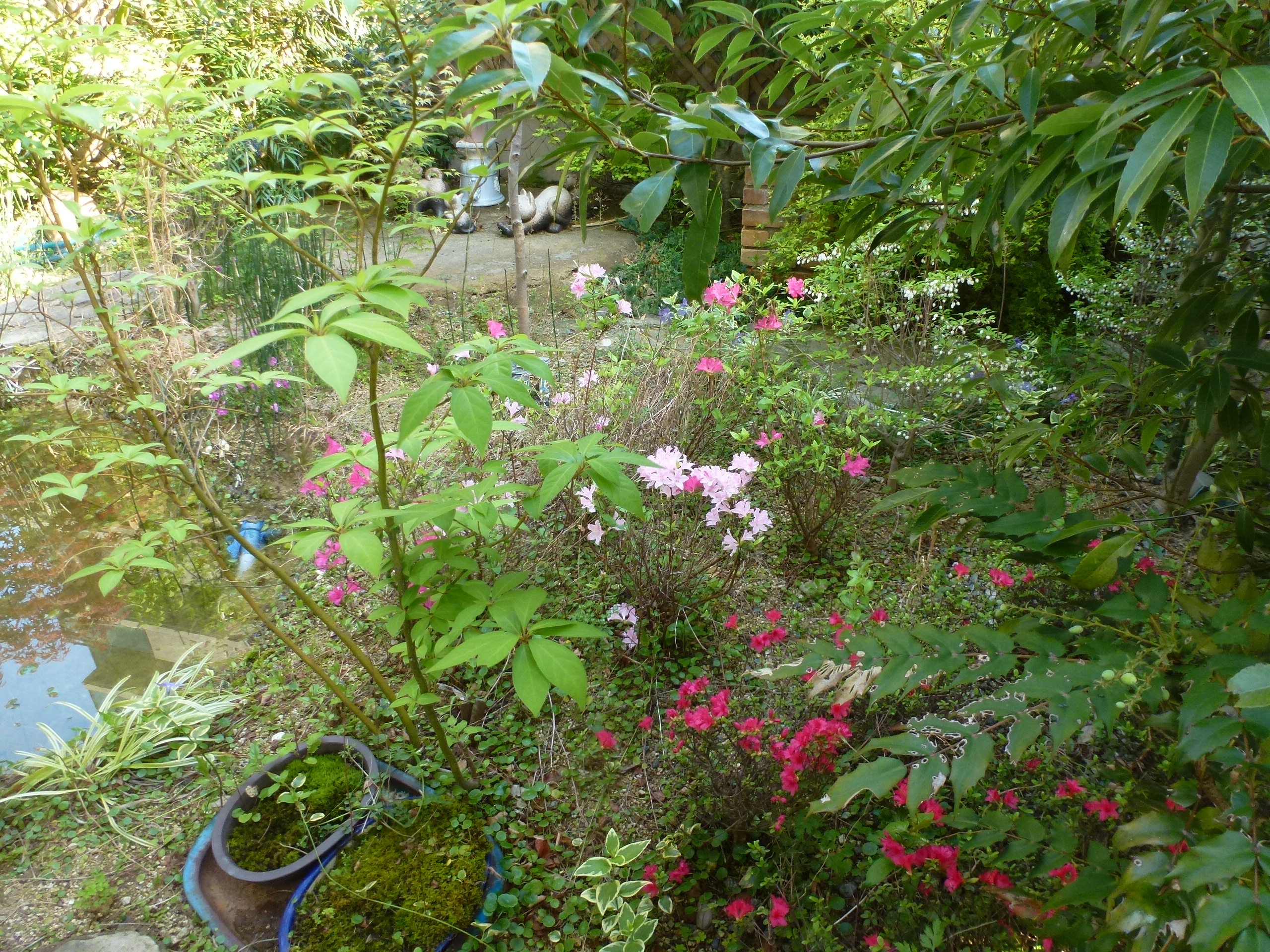 P1160332.JPG