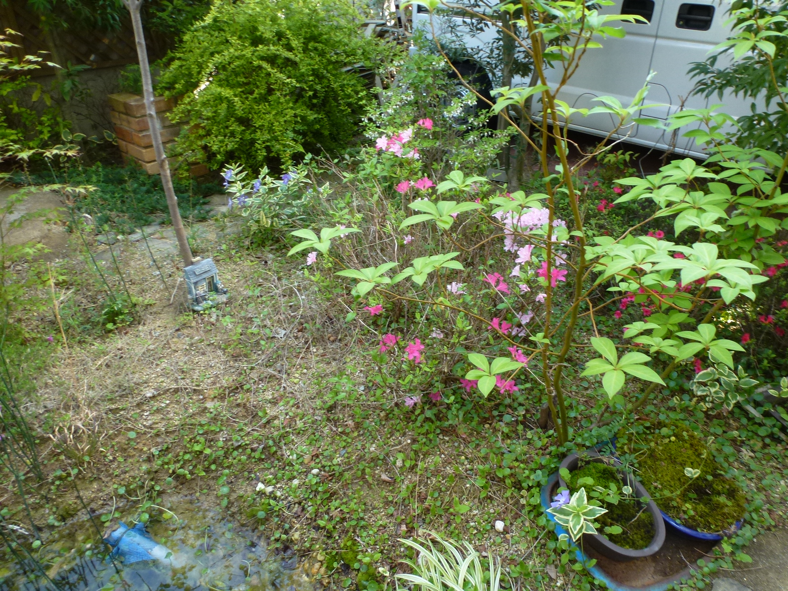 P1160333.JPG