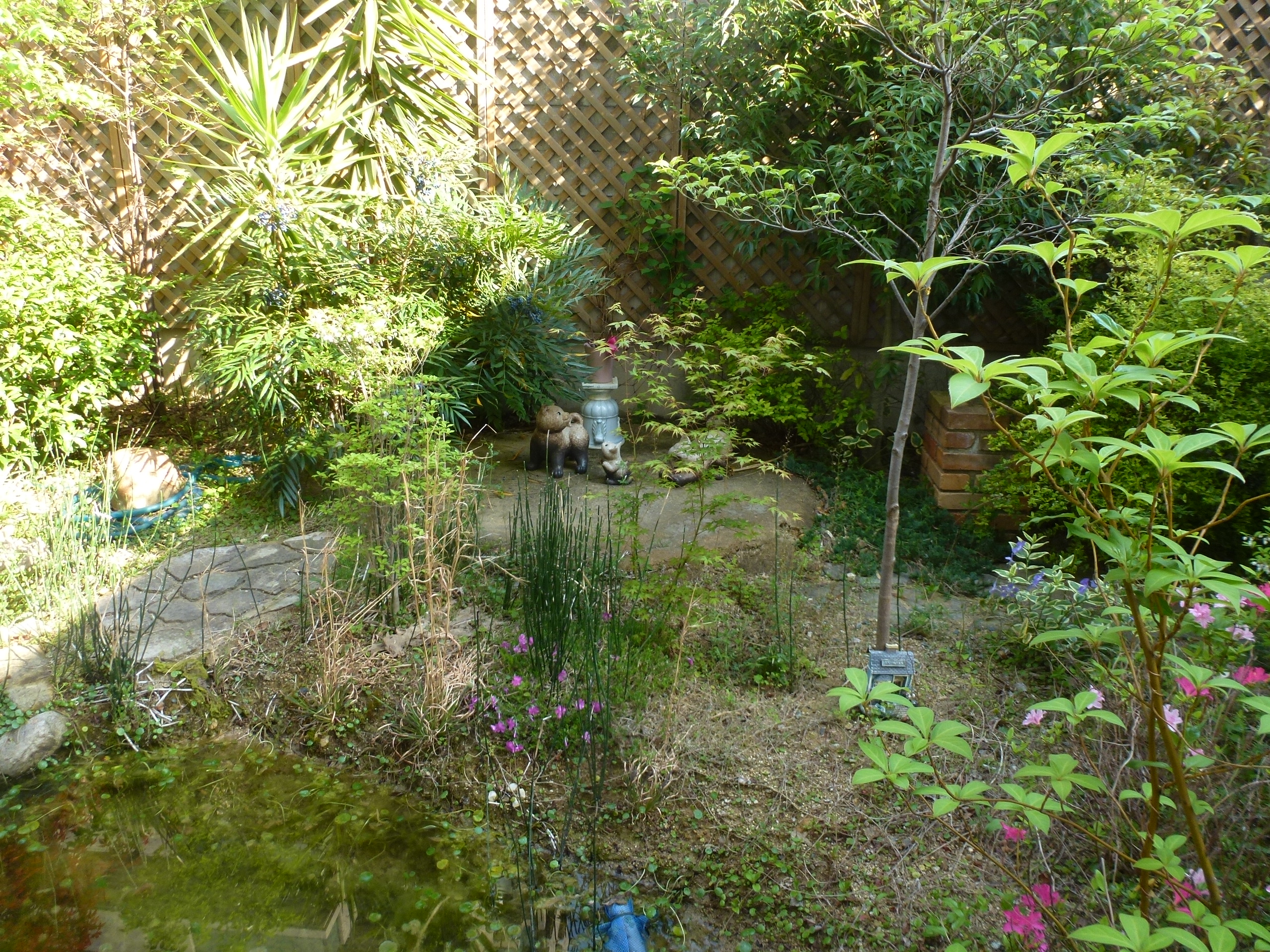 P1160335.JPG