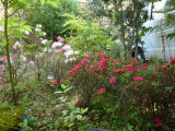 img0000.jpg