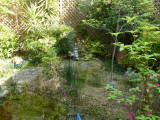 img0005.jpg