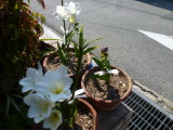 img0002.jpg