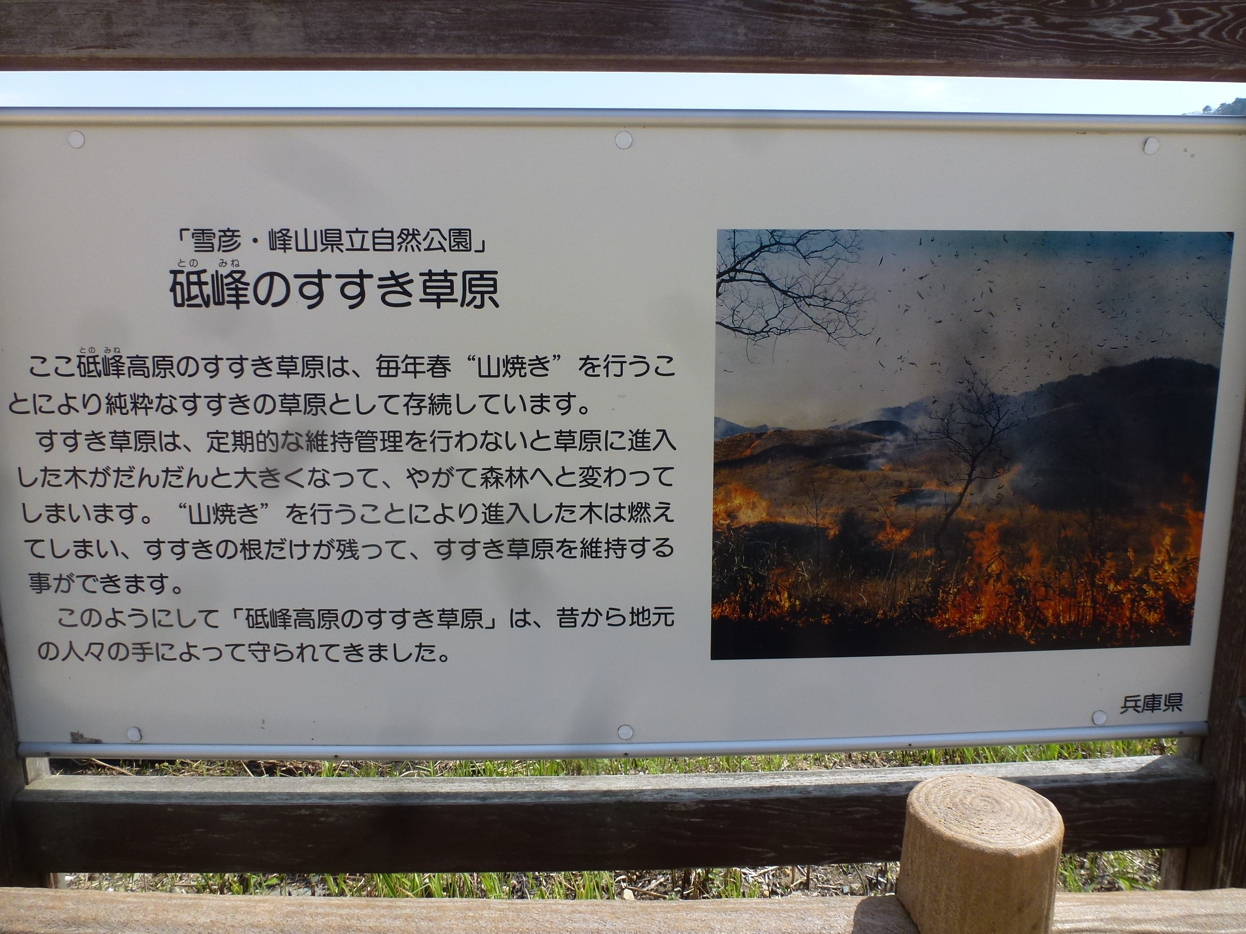 P1160366.JPG