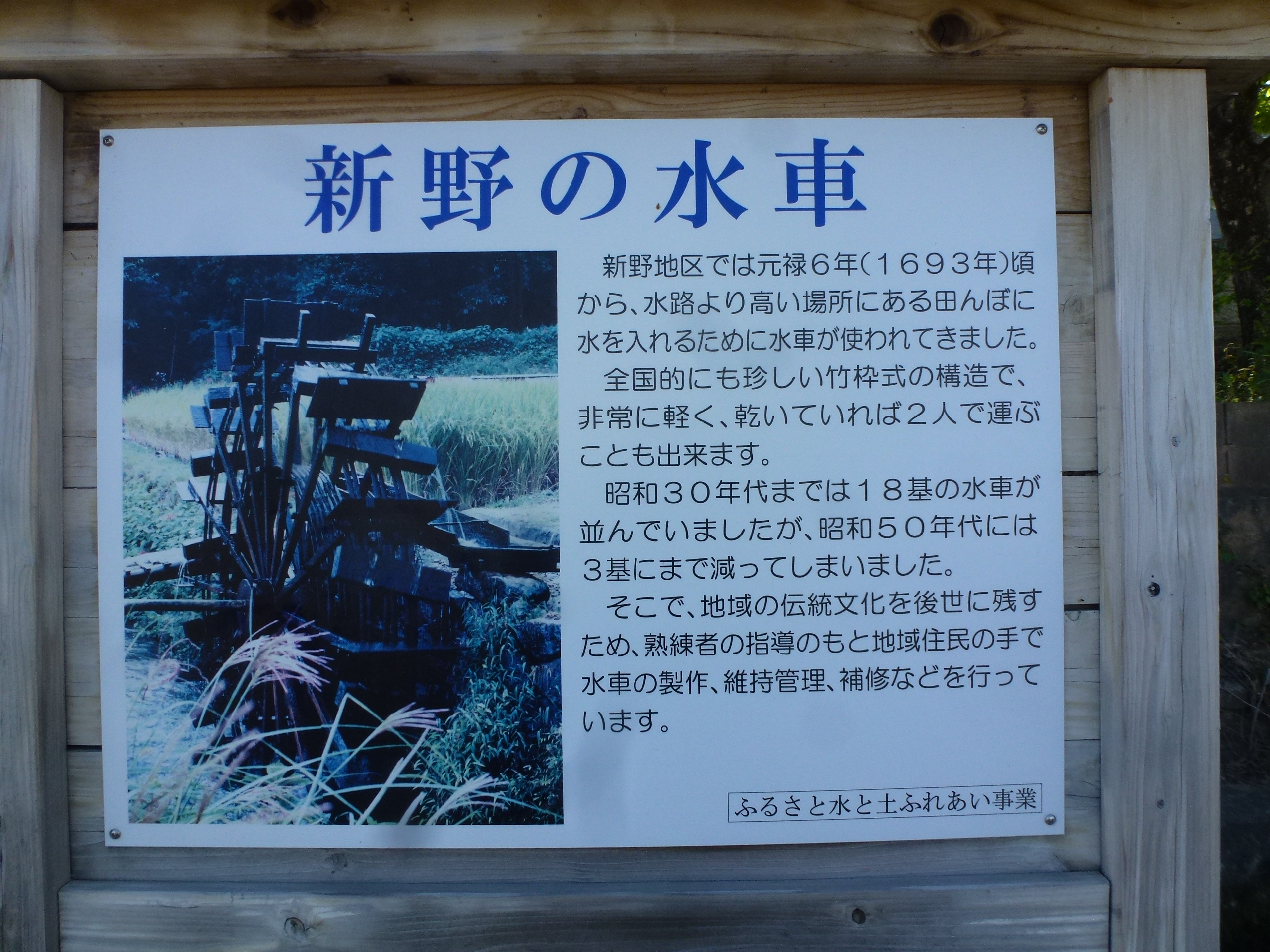 P1160374.JPG
