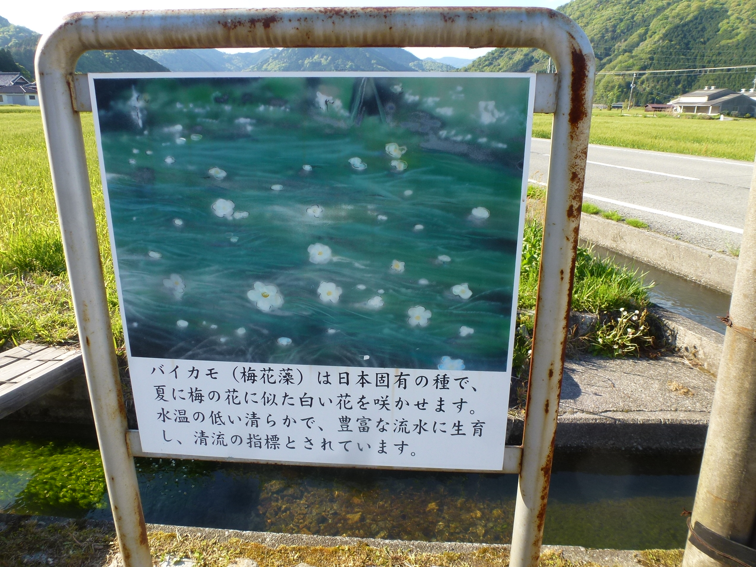 P1160375.JPG