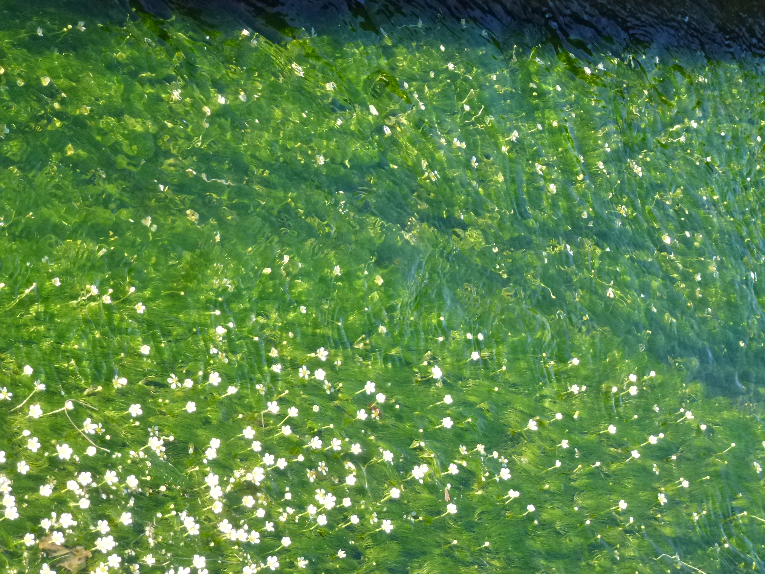 P1160383.JPG