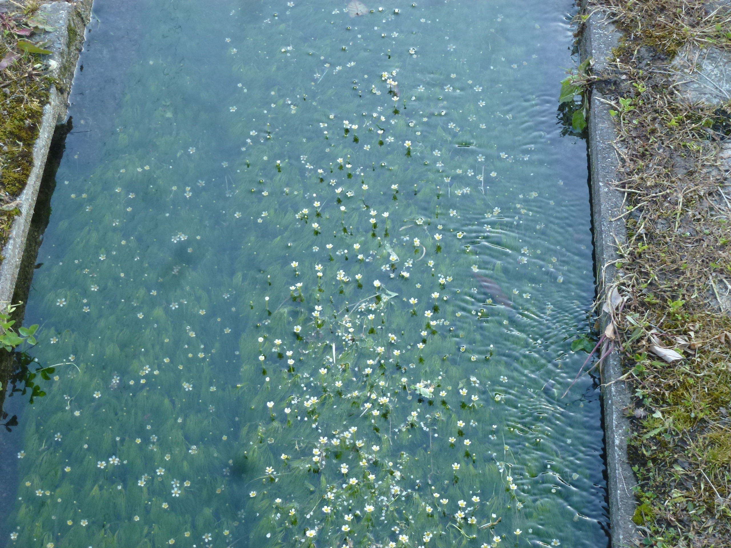 P1160384.JPG