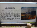 img0003.jpg