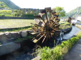 img0010.jpg
