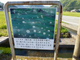 img0012.jpg