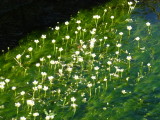 img0015.jpg