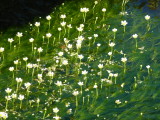 img0016.jpg