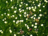 img0017.jpg