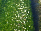 img0018.jpg