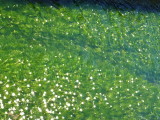 img0019.jpg