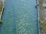 img0020.jpg