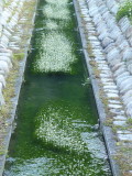 img0021.jpg
