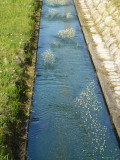 img0022.jpg