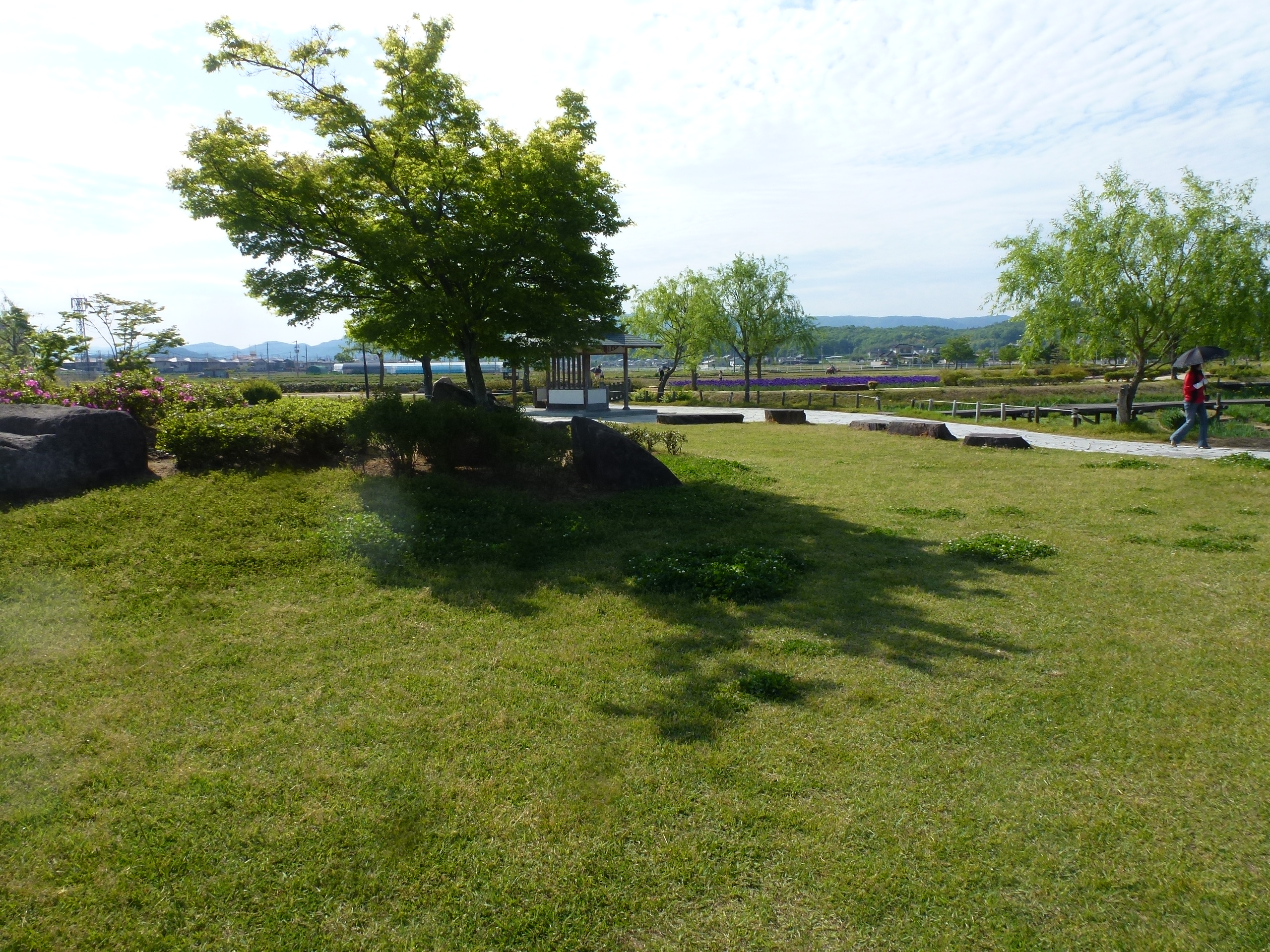 P1160414.JPG