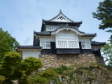 img0012.jpg