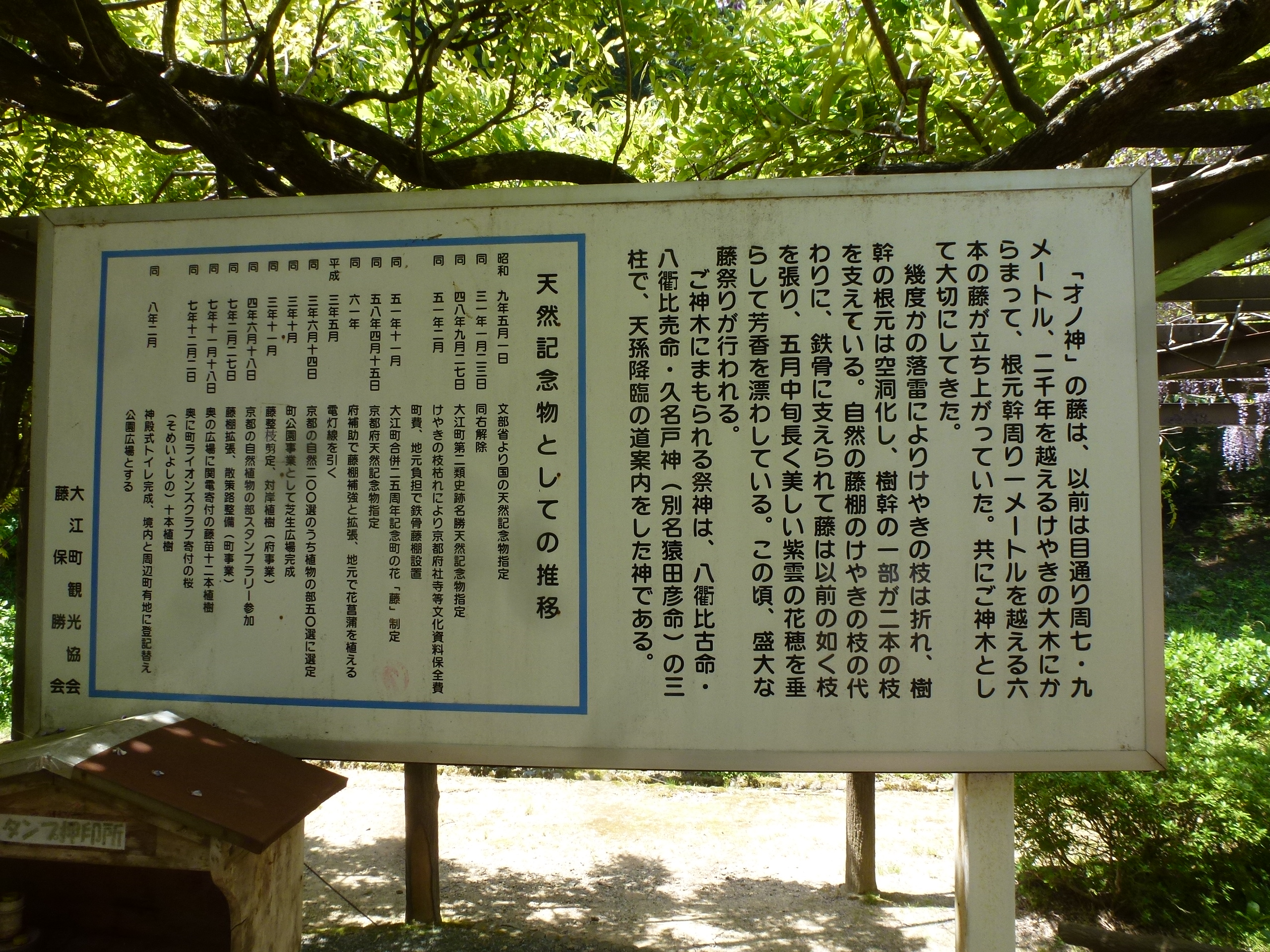 P1160482.JPG