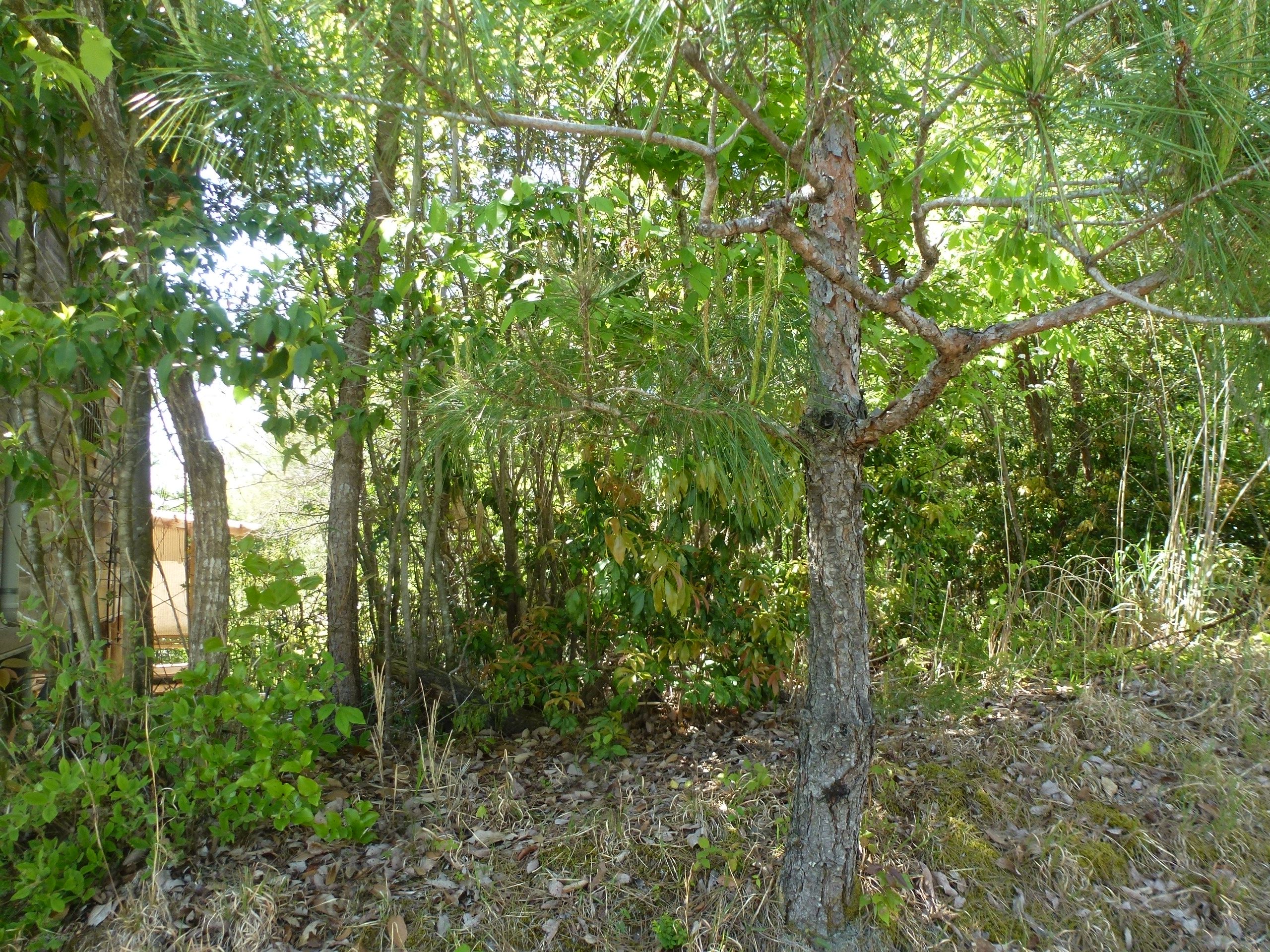 P1160505.JPG