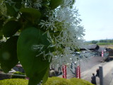 img0002.jpg