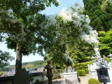 img0004.jpg