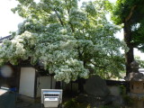 img0005.jpg