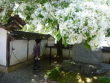 img0006.jpg