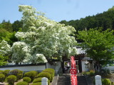 img0013.jpg