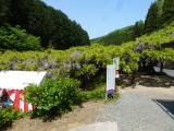 img0014.jpg