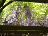 img0016.jpg