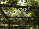 img0017.jpg
