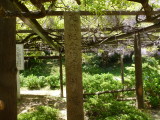 img0018.jpg