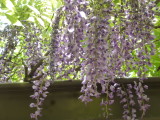 img0023.jpg